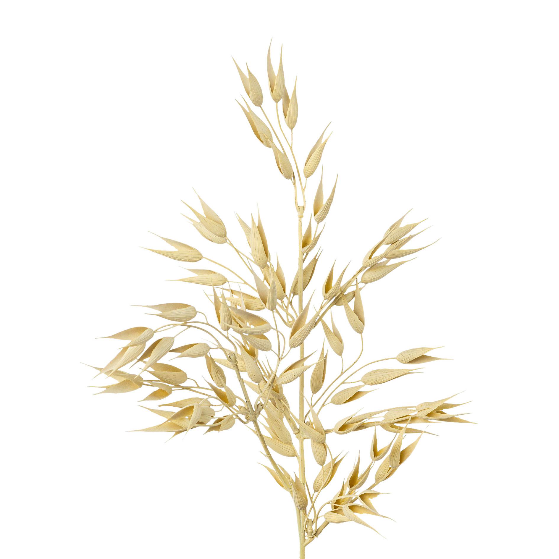 DEKORAČNÍ VĚTVIČKA HAFER I -PAZ- - krémová, Konvenční, plast (64cm) - Modern Living