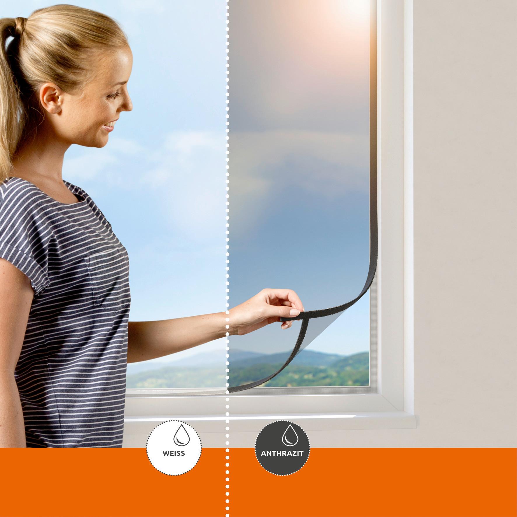 Fliegengitter Bxh: 130x150 Cm Anthrazit, Zum Öffnen - Anthrazit, Basics, Textil (130/150cm)