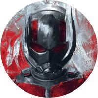 Fototapete Dd1-049 Avengers Painting - Multicolor, Trend (128cm)
