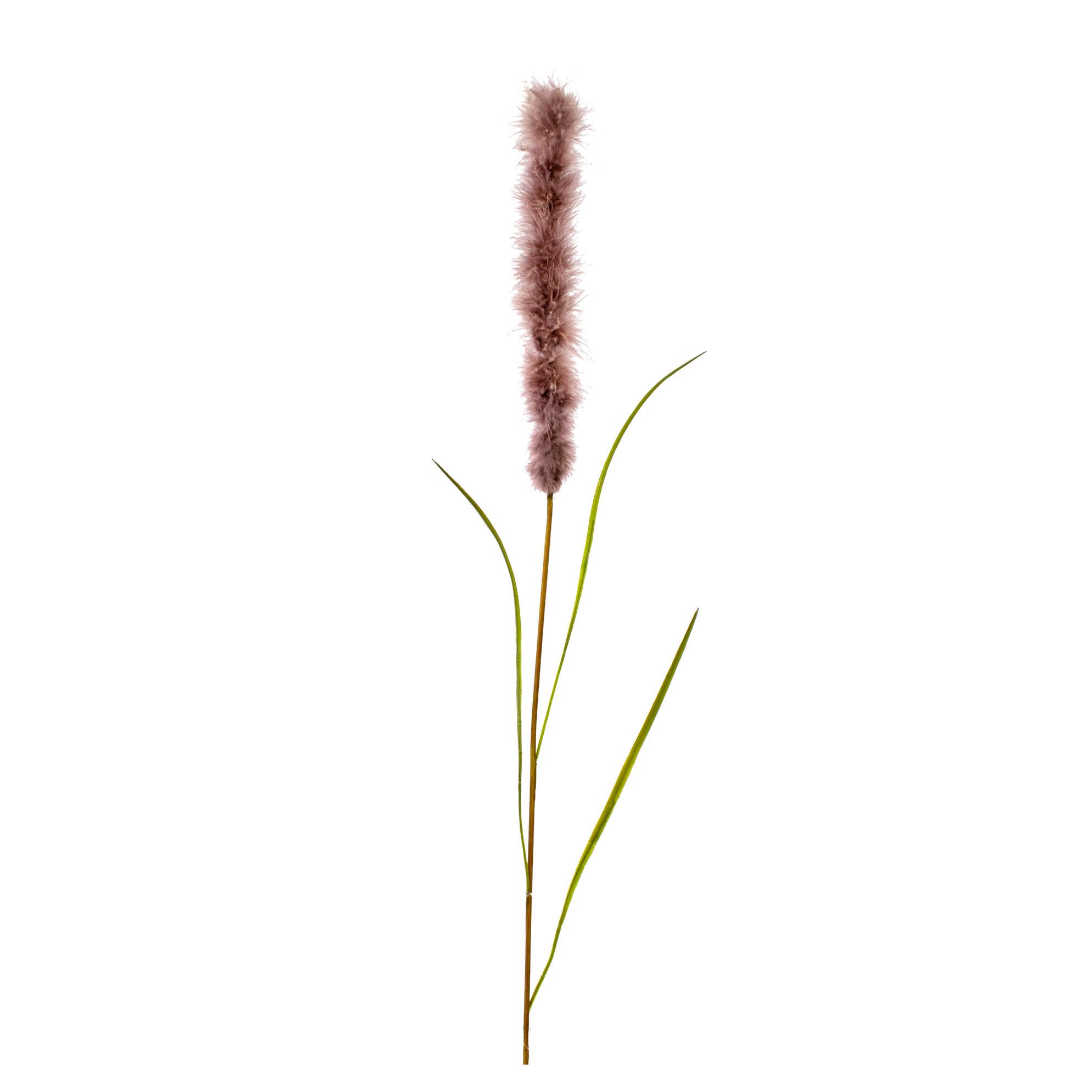 Dekorační rostlina Pompová tráva, 102cm - zelená/hnědá, Natur, plast (102cm)