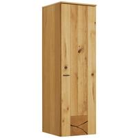 ZÁVĚSNÁ SKŘÍŇKA STOCKHOLM - barvy dubu/černá, Moderní, kov/kompozitní dřevo (37/119/38cm) - Premium Living