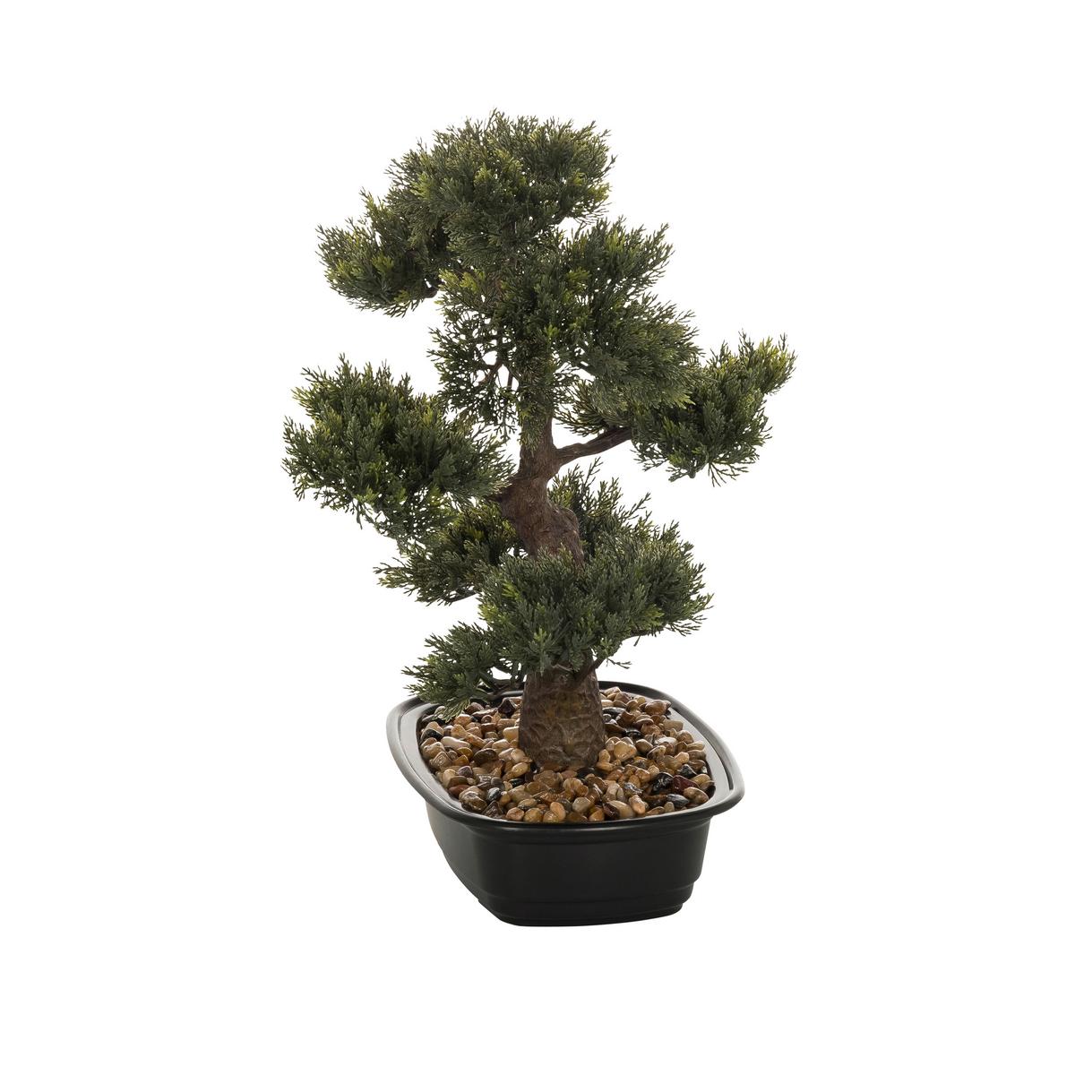 Bonsai Bonsai - Schwarz/Braun, Basics, Kunststoff (38/44/20cm) - MID.YOU