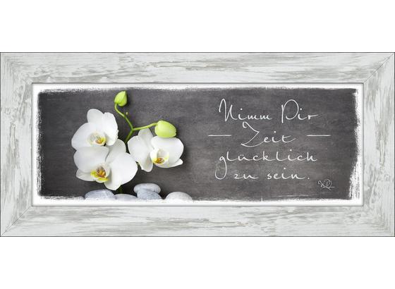 Bild Mit Lebensweisheit Und Blume Online Kaufen
