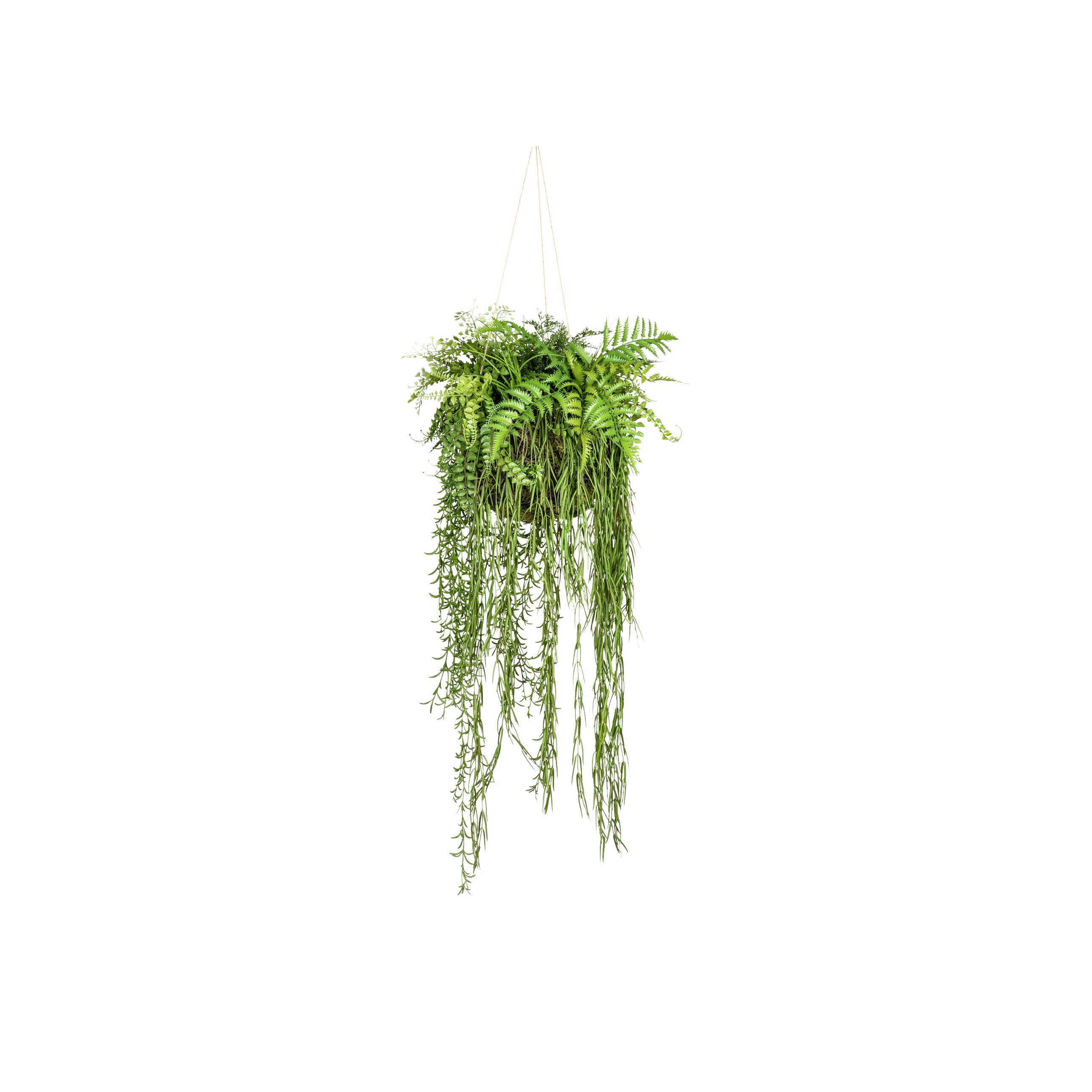 Kunstpflanze, Grün inkl.  Aufhängung, H: 40 cm - Grün, Design, Kunststoff (40cm)