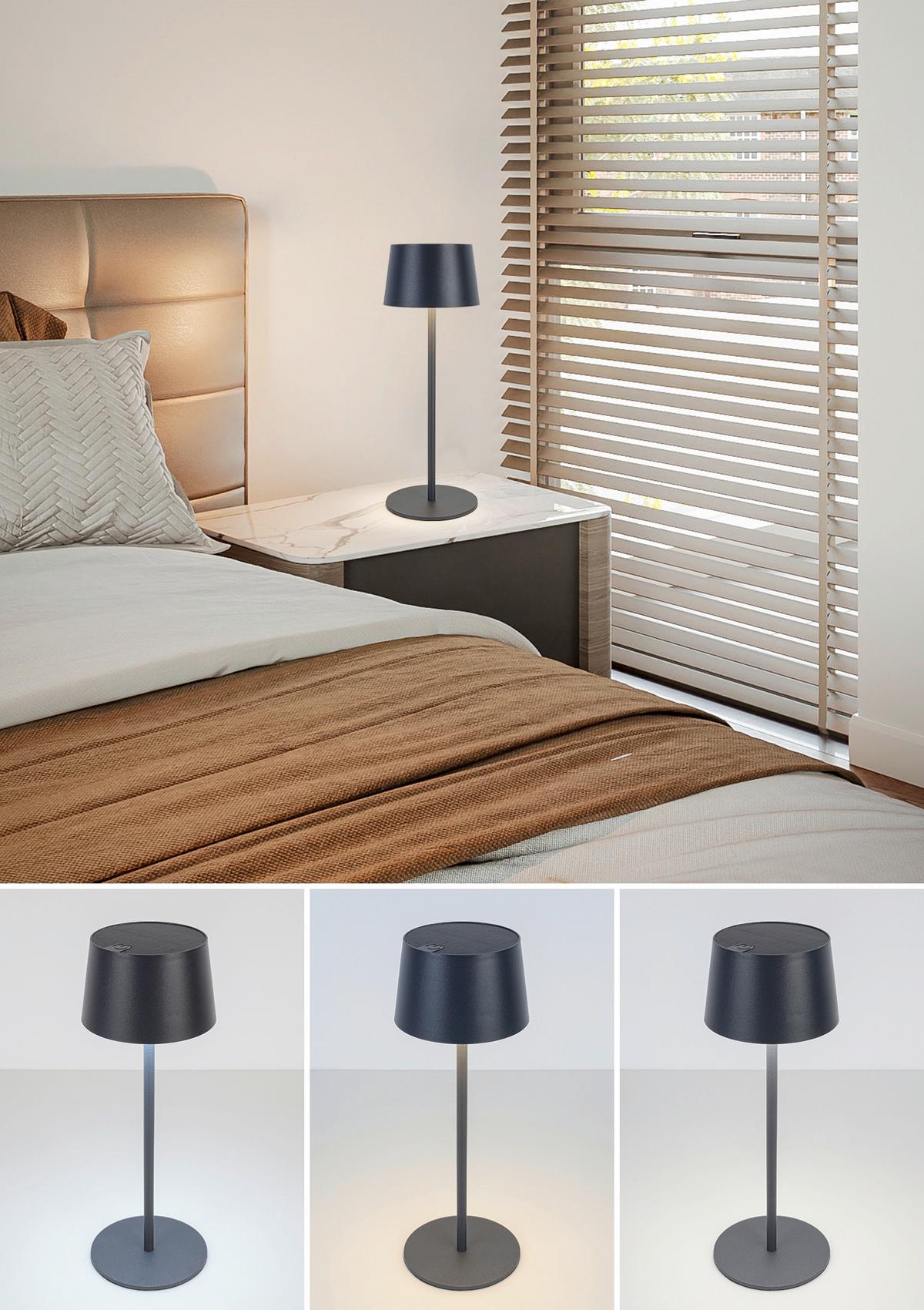 SOLÁRNÍ SVÍTIDLO ZITZ - antracitová, Konvenční, kov/plast (9/25cm) - Mömax