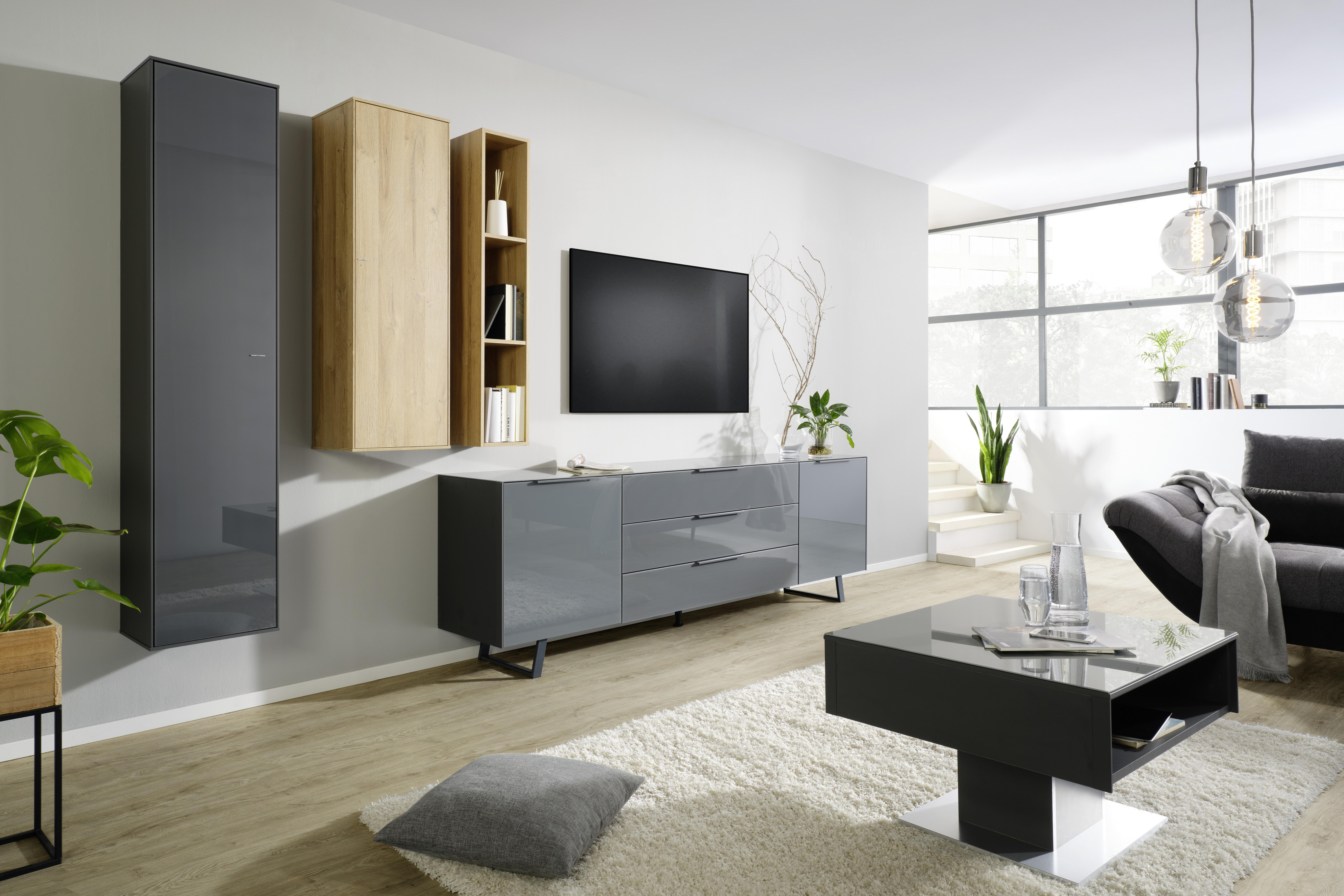 ZÁVĚSNÁ SKŘÍŇKA MAX BOX - antracitová, Moderní, kompozitní dřevo/sklo (38/175/32cm) - Premium Living