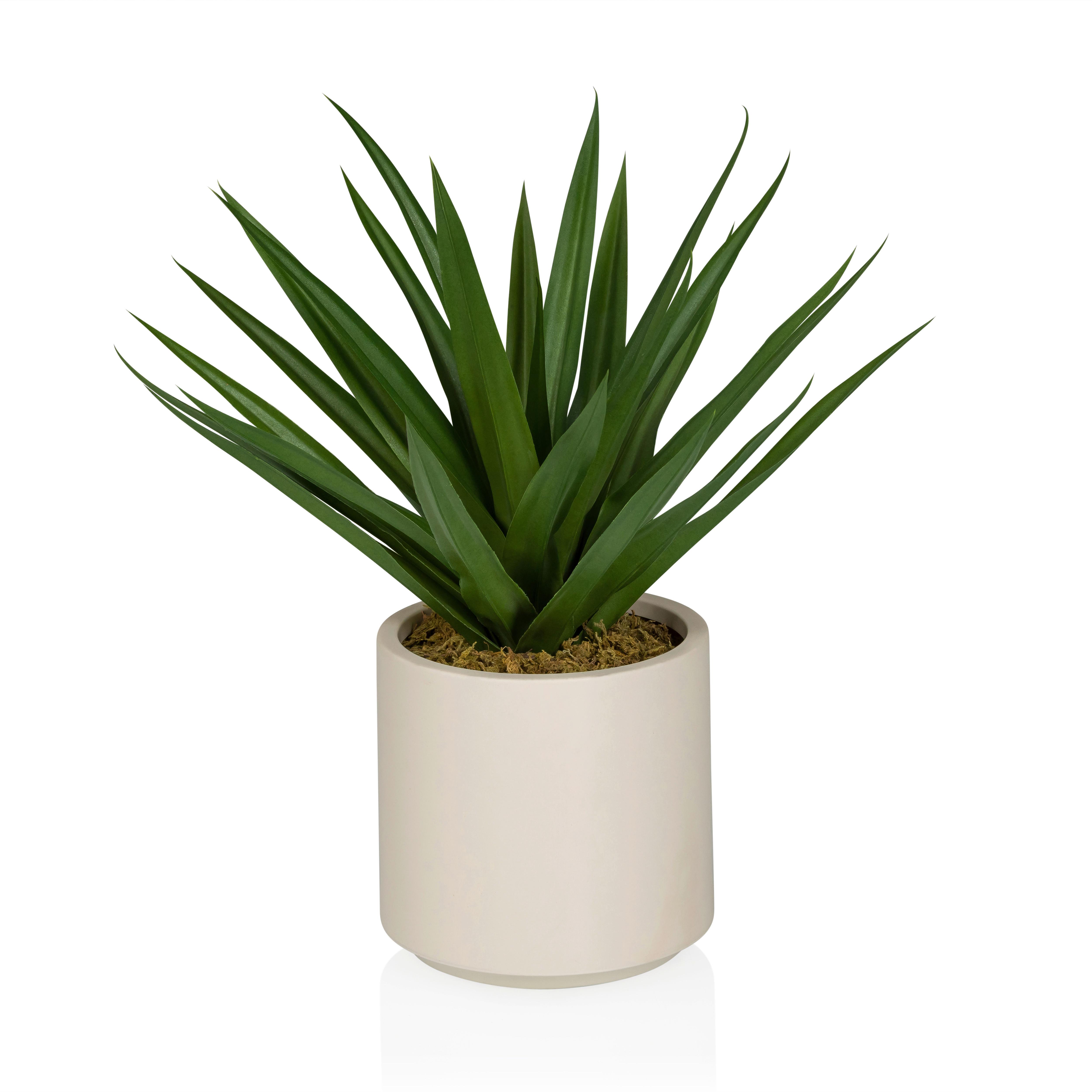 KUNSTPFLANZE Agave Grün B: 40cm - Beige/Grün, MODERN, Kunststoff (40/45/40cm) - MID.YOU