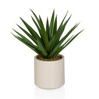 KUNSTPFLANZE Agave Grün B: 40cm - Beige/Grün, MODERN, Kunststoff (40/45/40cm) - MID.YOU