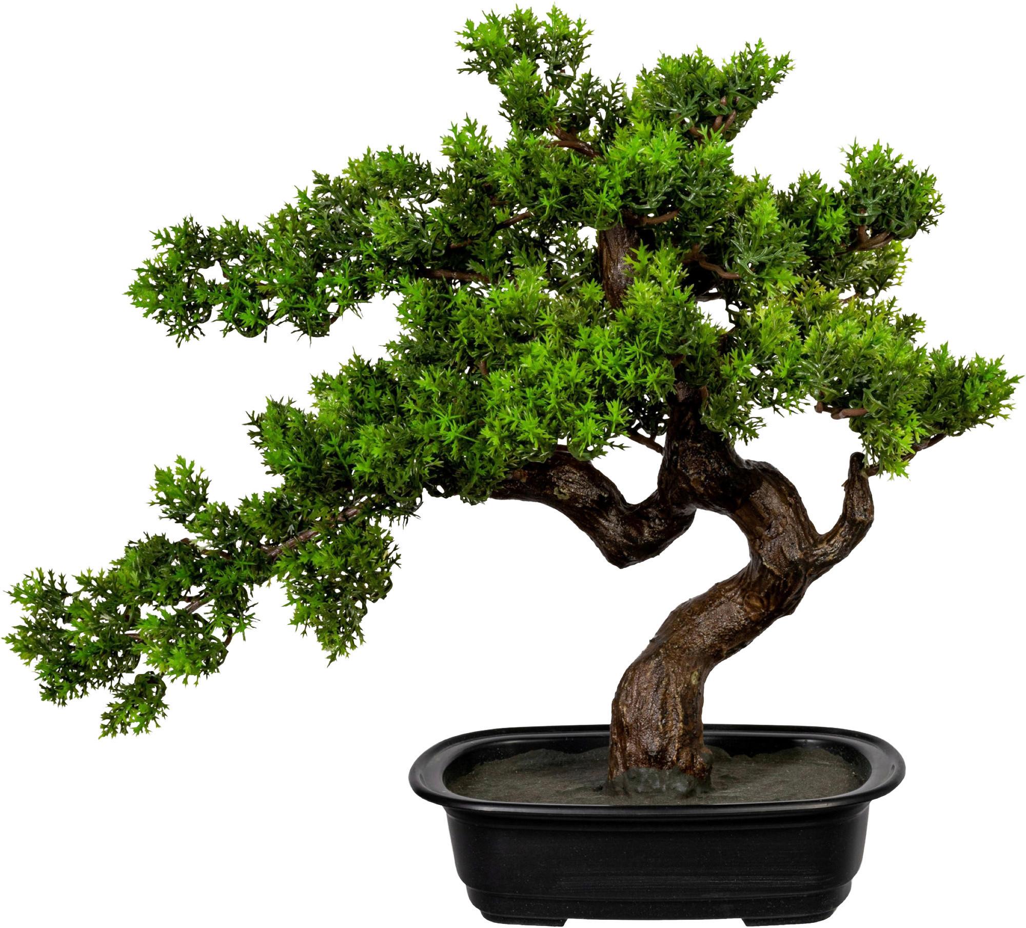 Kunstpflanze Bonsai Braun/Grün/Schwarz, 40 cm - Schwarz/Braun, Design, Kunststoff (40cm)