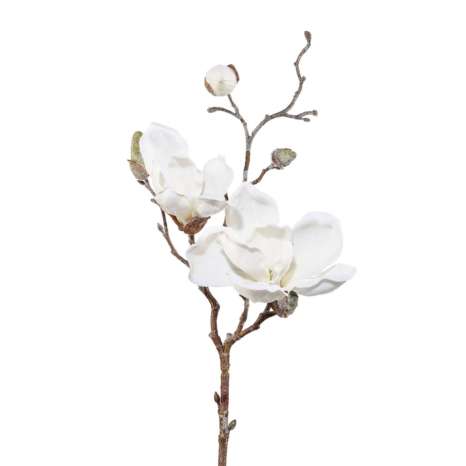 Magnolie Dowe Weiss - Weiß/Braun, Basics, Kunststoff/Textil (50cm)