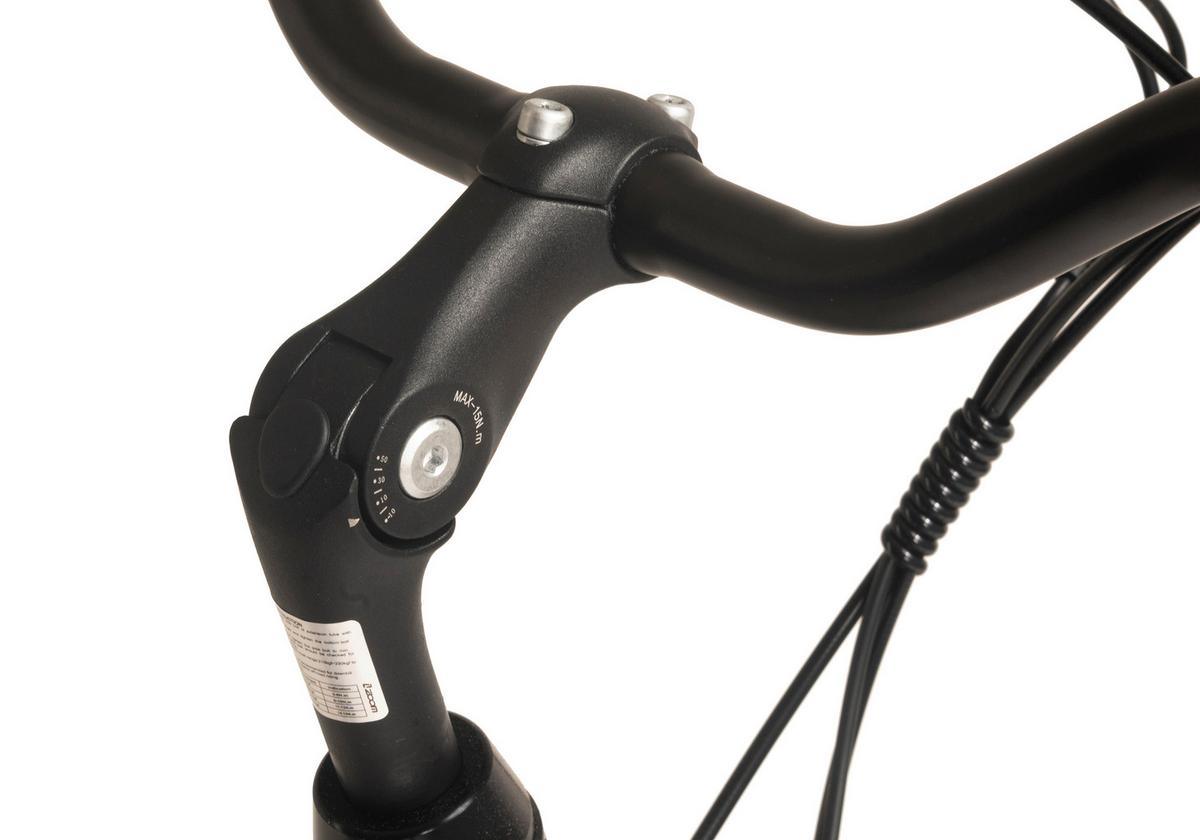 Elektrofahrrad E-citybike Hollandia Lido,schwarz,28 Zoll - Schwarz, Basics, Metall (21/116/188cm)