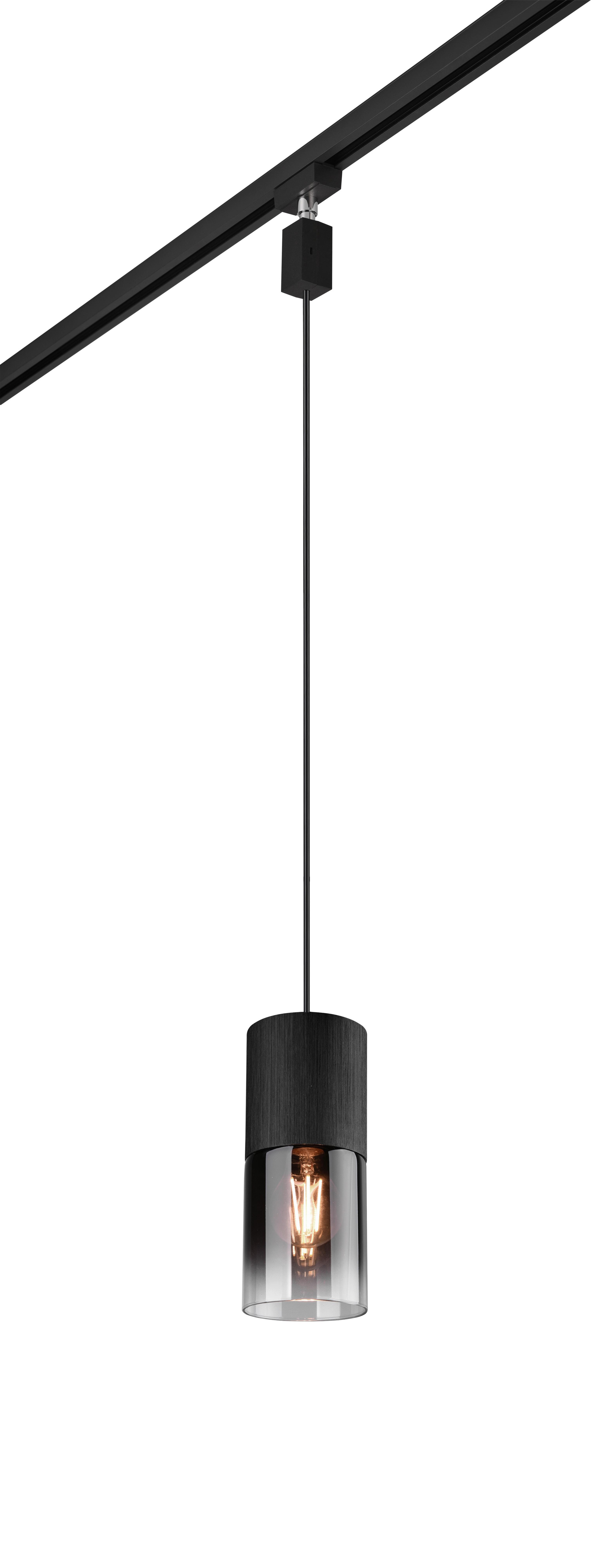 Schienensystem-Hängeleuchte 73060132 Duoline Robin - Schwarz/Grau, KONVENTIONELL, Glas/Metall (10/180cm) - Trio Leuchten