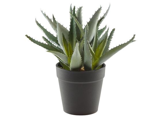 Rostlina Umělá Aloe - zelená, Basics, umělá hmota (34cm) Rostlina Umělá Aloe - zelená, Basics, umělá hmota (34cm)