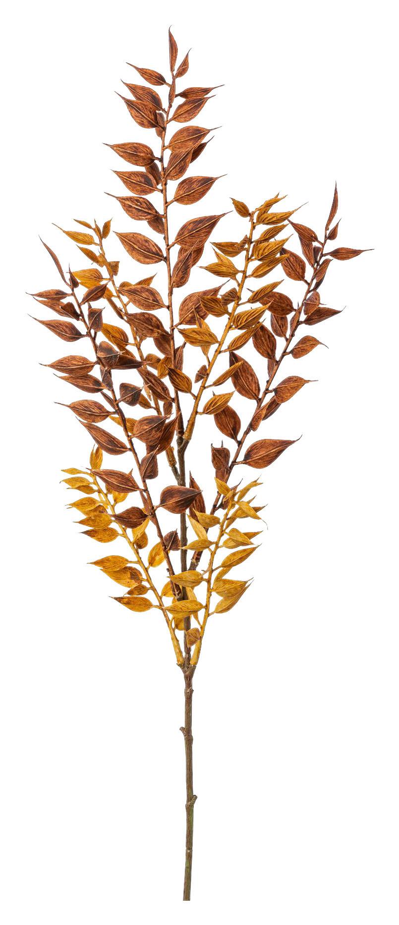 Kunstpflanze Ruscuszweig Braun L: 50 cm, Garda - Braun, Basics, Kunststoff (50cm)