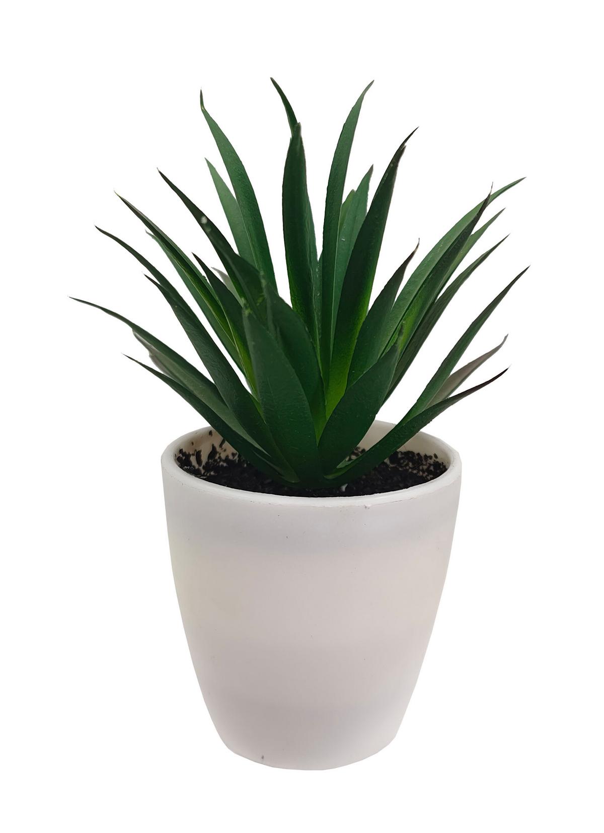 Kunstpflanze Isabella - Weiß/Grün, MODERN, Kunststoff (8/9-16cm) - Luca Bessoni