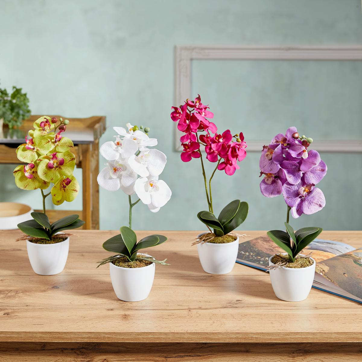 Kunstpflanze Orchidee Bunt L: 40 cm Im Topf, Sofie - Lila/Multicolor, Natur, Kunststoff (40cm)