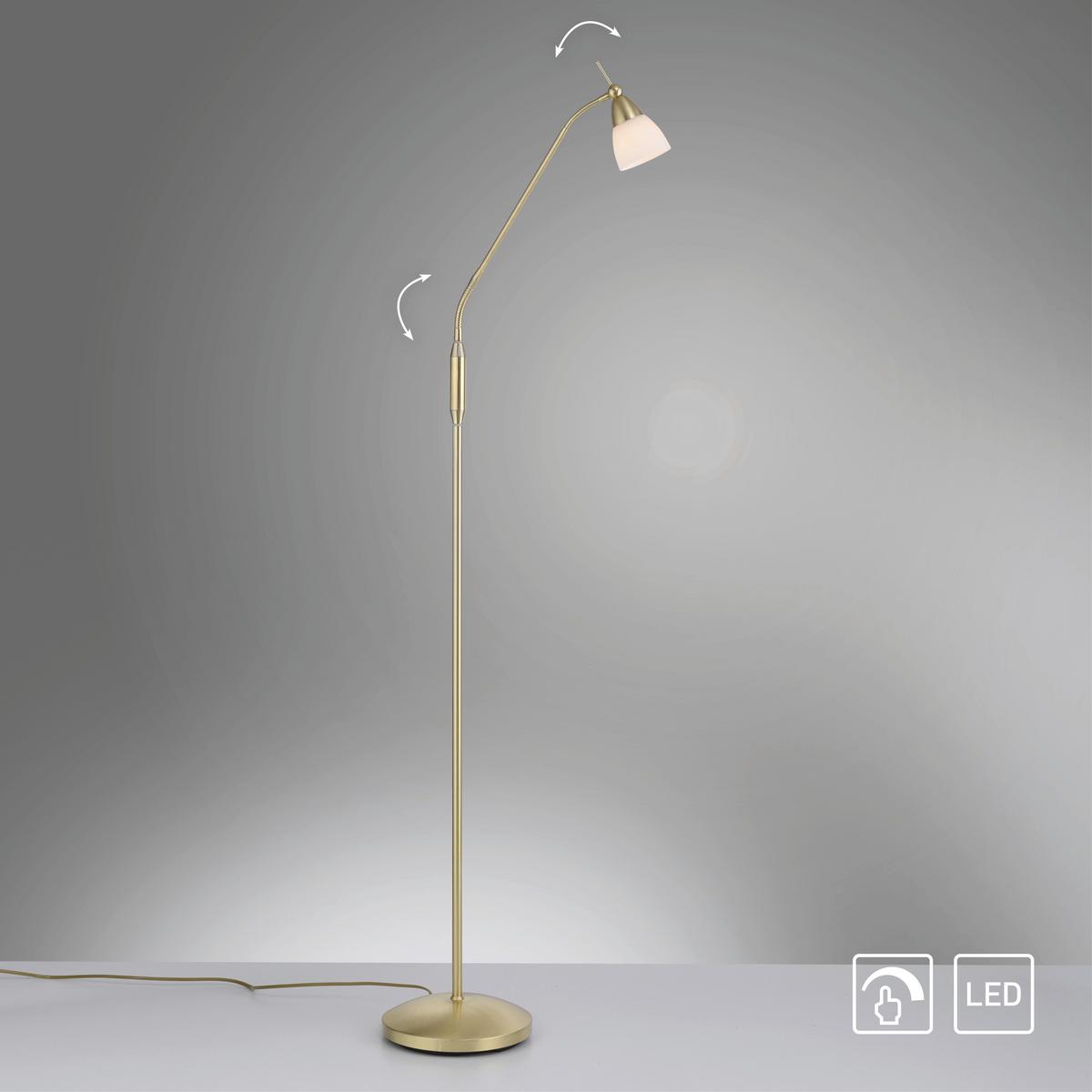 LED-Stehleuchte 400-60 Pino - Messingfarben, Basics, Glas/Metall (74/74/163cm) - Paul Neuhaus