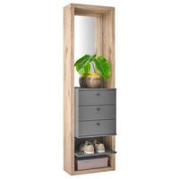 PREDSIEŇOVÝ NÁBYTOK FRAME - farba duba/antracitová, Basics, kompozitné drevo/sklo (51/178/35cm) - Carryhome