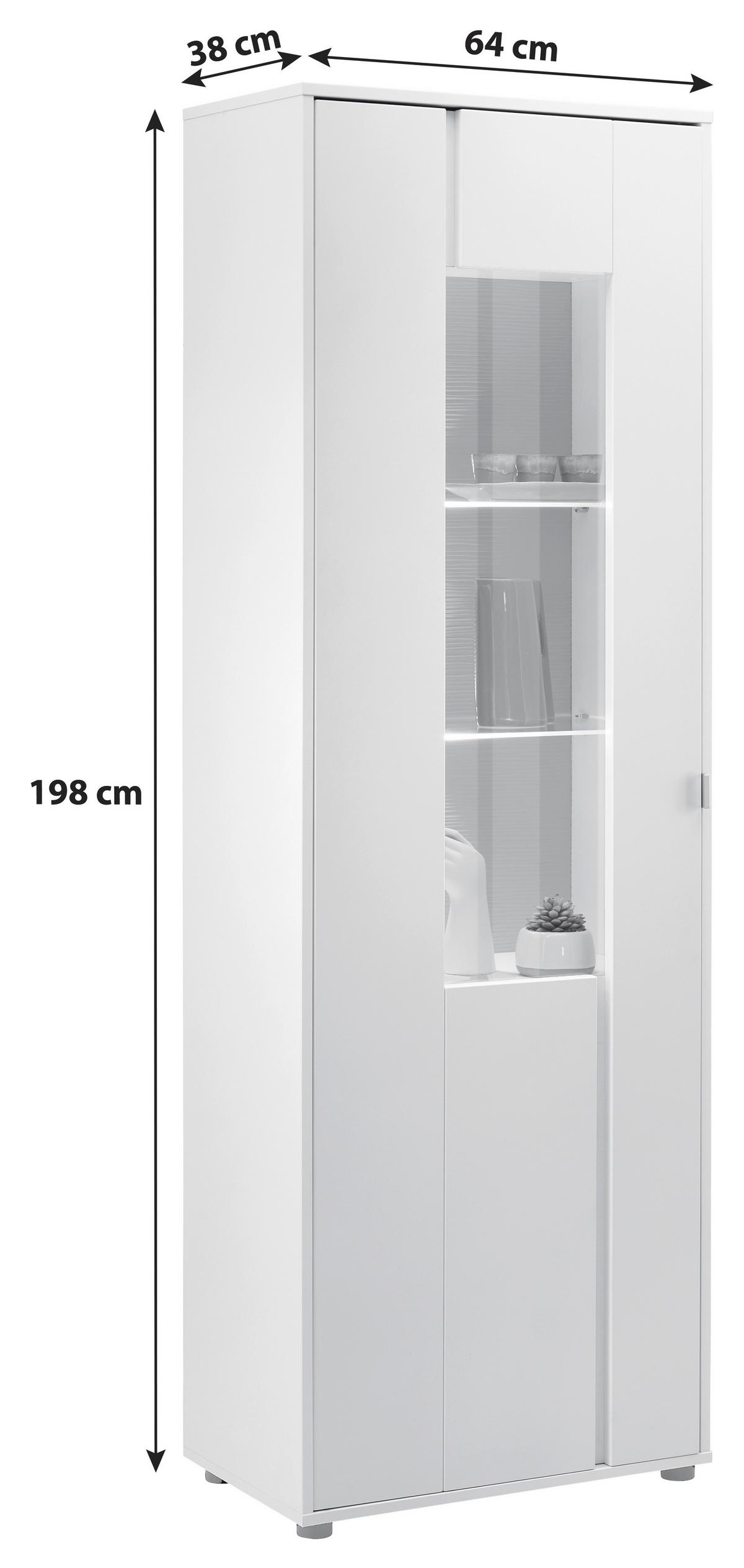 VITRÍNA ALABAMA - bílá/černá, Moderní, kov/kompozitní dřevo (64/198/38cm)