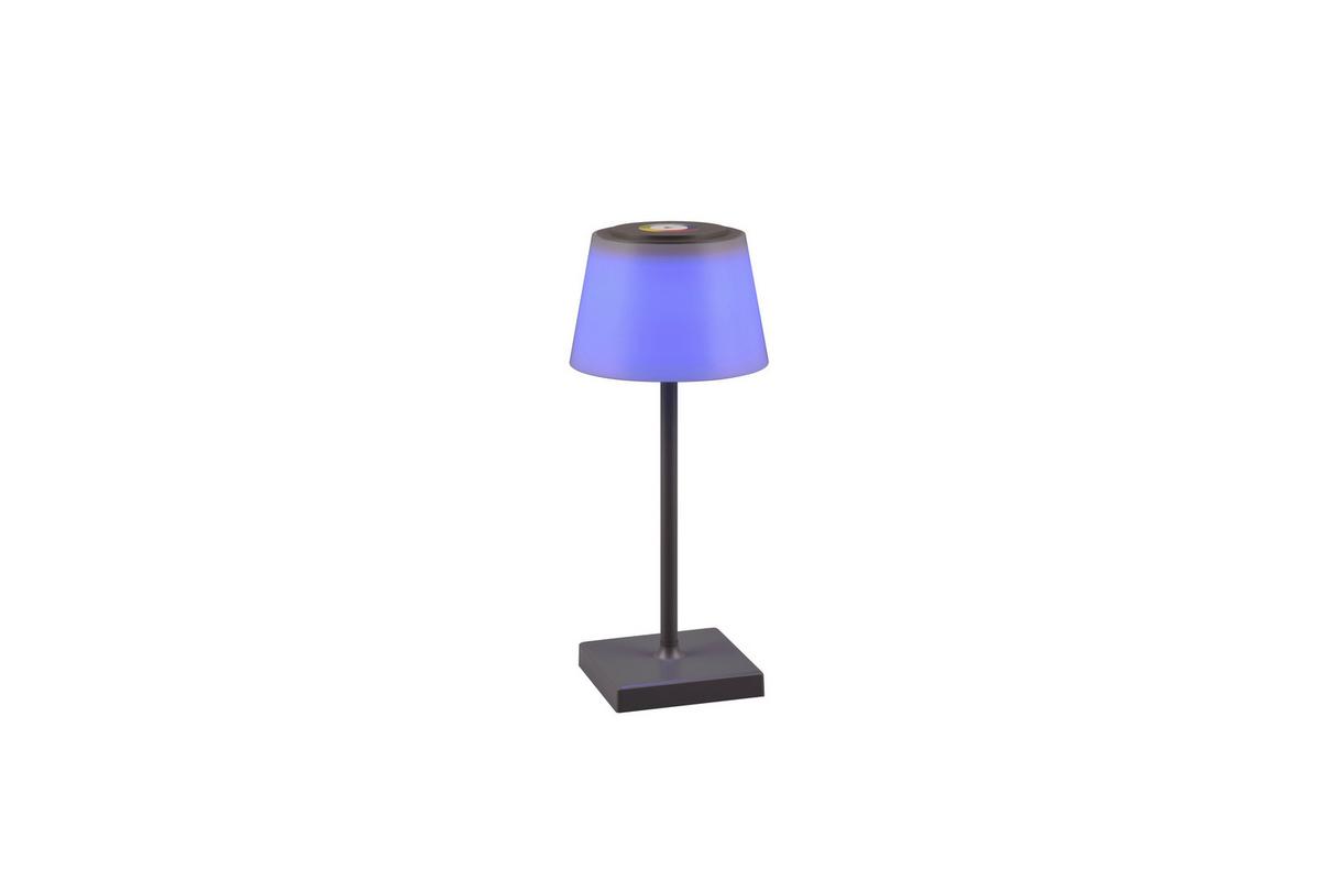 Akku-tischleuchte R54126142 Sanchez - Anthrazit/Weiß, KONVENTIONELL, Kunststoff (13/30cm)