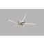 LED-Deckenleuchte Alma - Nickelfarben, MODERN, Glas/Kunststoff (60/4,5cm) LED-Deckenleuchte Alma - Nickelfarben, MODERN, Glas/Kunststoff (60/4,5cm)