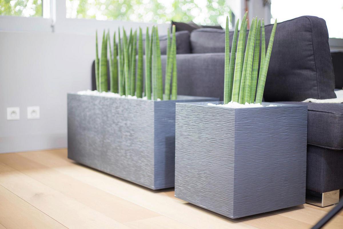 Pflanztopf Kunststoff 40l In- Und Outdoor Graphit - Graphitfarben, Basics, Kunststoff (39/43/39cm)