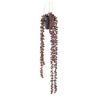 Kunstpflanze Sukkulenten Rotbraun/Schwarz, 60 cm - Rotbraun/Schwarz, Design, Kunststoff (60cm) - P & B