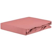 Spannleintuch Jardena Rosa 180x200 cm Baumwolle - Rosa, KONVENTIONELL, Textil (180-200/200cm) - James Wood