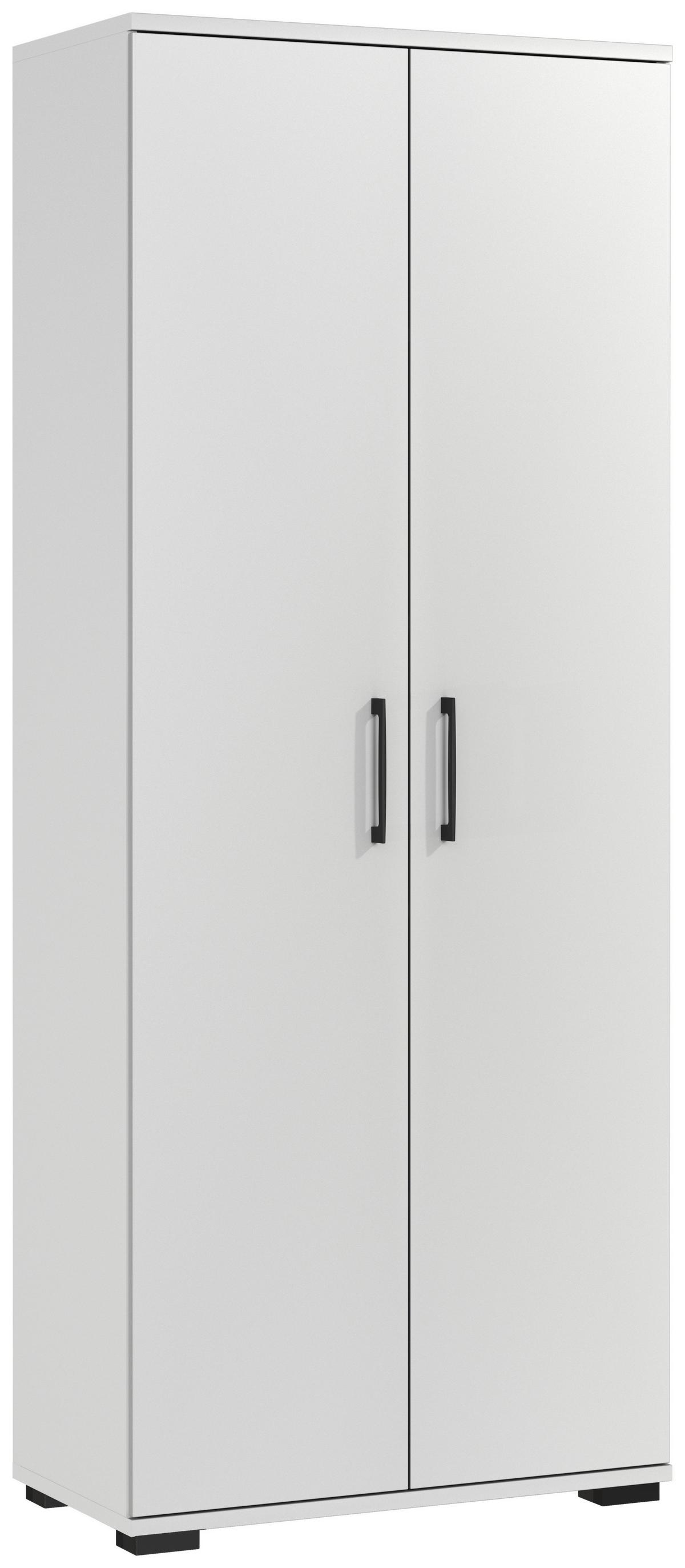 Aktenschrank Profi Grau B: 80cm - Grau, MODERN, Holzwerkstoff (80/200/40cm) - Germania