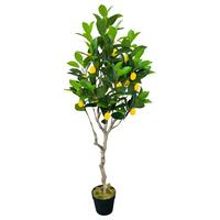 Umelá rastlina ZITRONENBAUM -PAZ- - hnedá/čierna, kov/plast (120cm) - Mömax