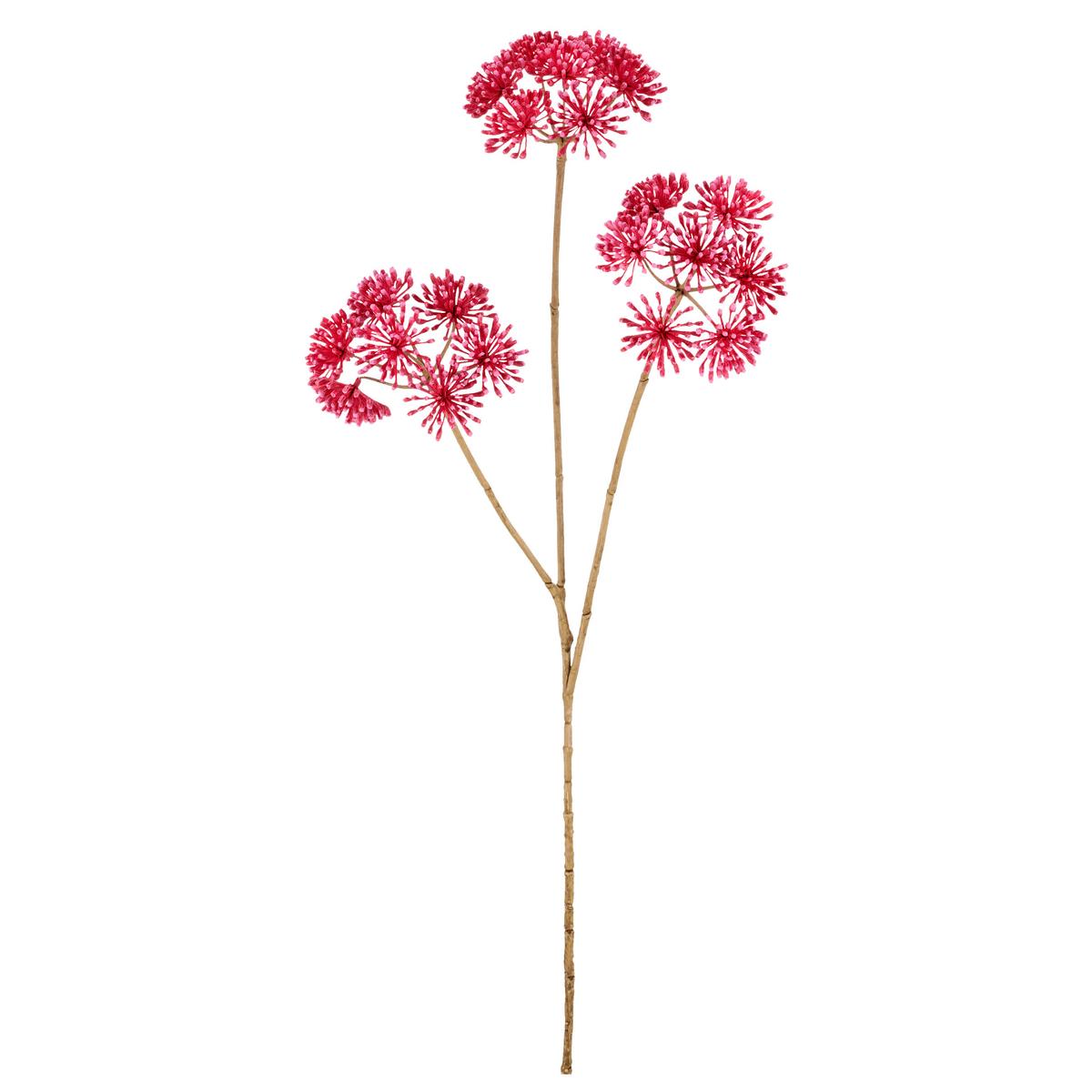 Umelý kvet HERACLEUM I -PAZ- - pink/krémová, Basics, kov/textil (75cm) - Mömax