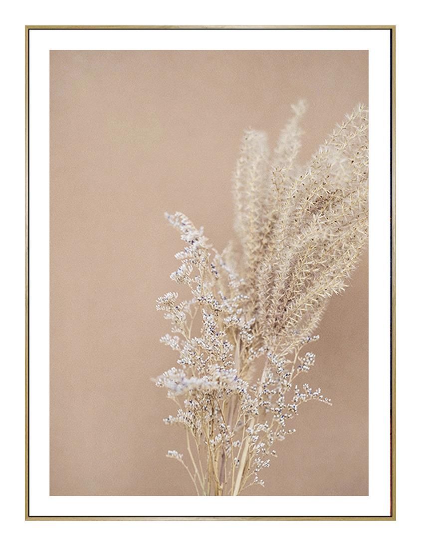 Obraz Na Plátně Flora -Paz- - přírodní barvy, Lifestyle, textil/plast (63/83/2,5cm) - Modern Living