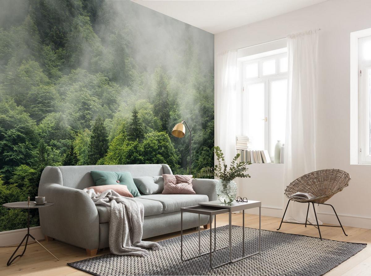 Vliestapete Bäume - Natur (400/250cm)