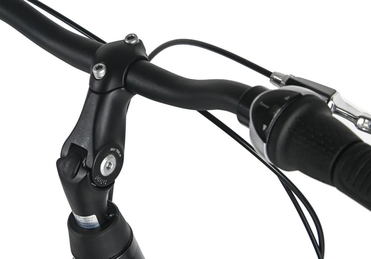 Dacapo Damenrad Padova 28 Zoll Rh 48 Cm - Schwarz, Basics, Metall (25cm)