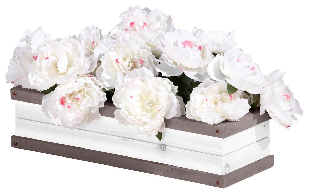 Blumenkasten A031.006.09 - Weiß/Grau, KONVENTIONELL, Holz (54/11,5/19cm) - Ambia Garden