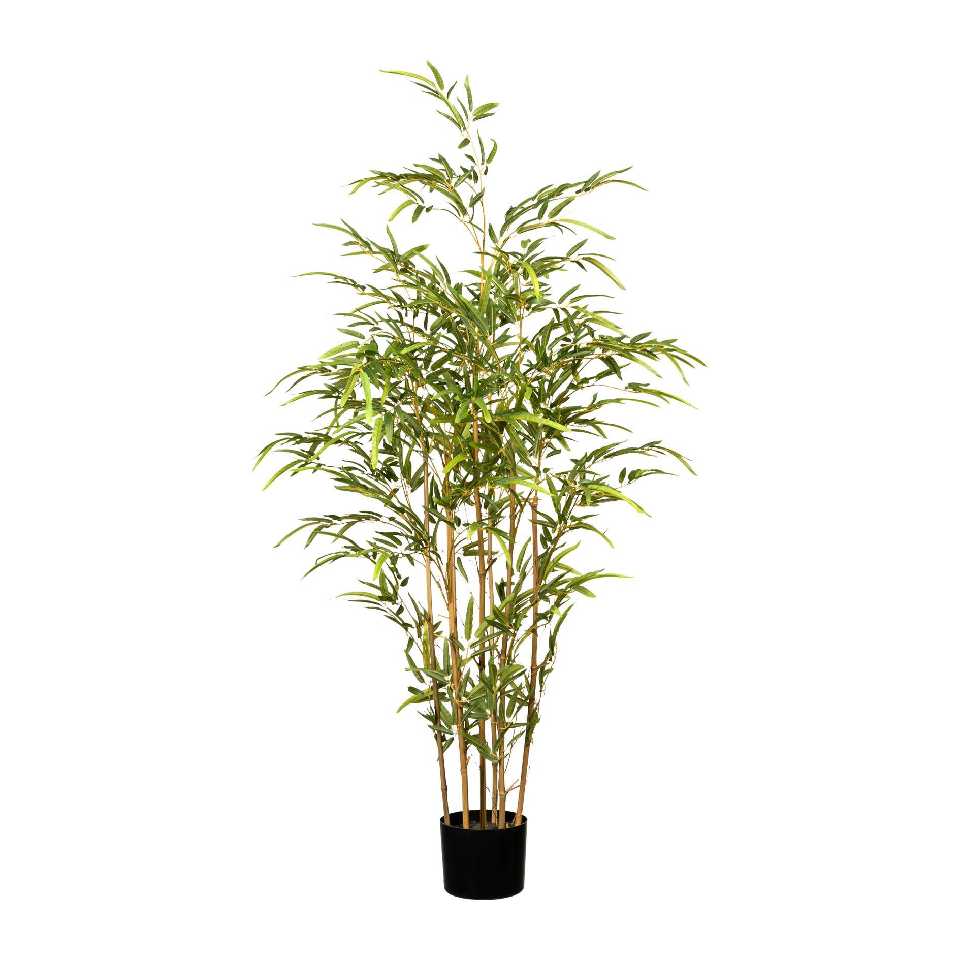 Kunstpflanze Grünpflanze H: 130 cm - Schwarz/Braun, Design, Naturmaterialien/Kunststoff (130cm) - P & B