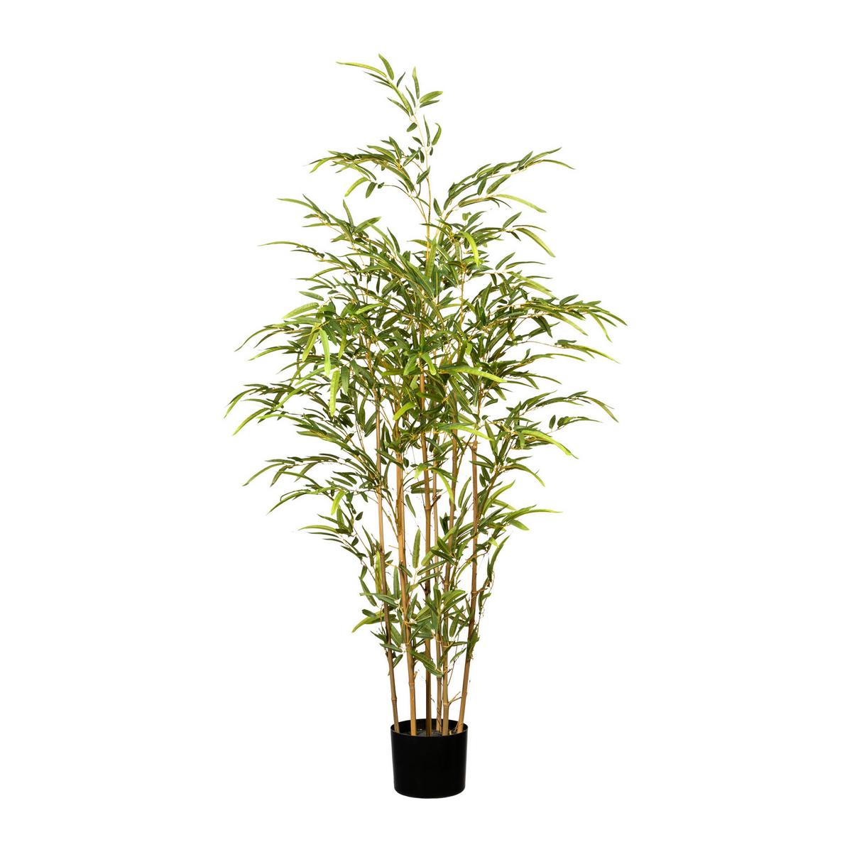 Kunstpflanze Grünpflanze H: 130 cm - Schwarz/Braun, Design, Naturmaterialien/Kunststoff (130cm) - P & B