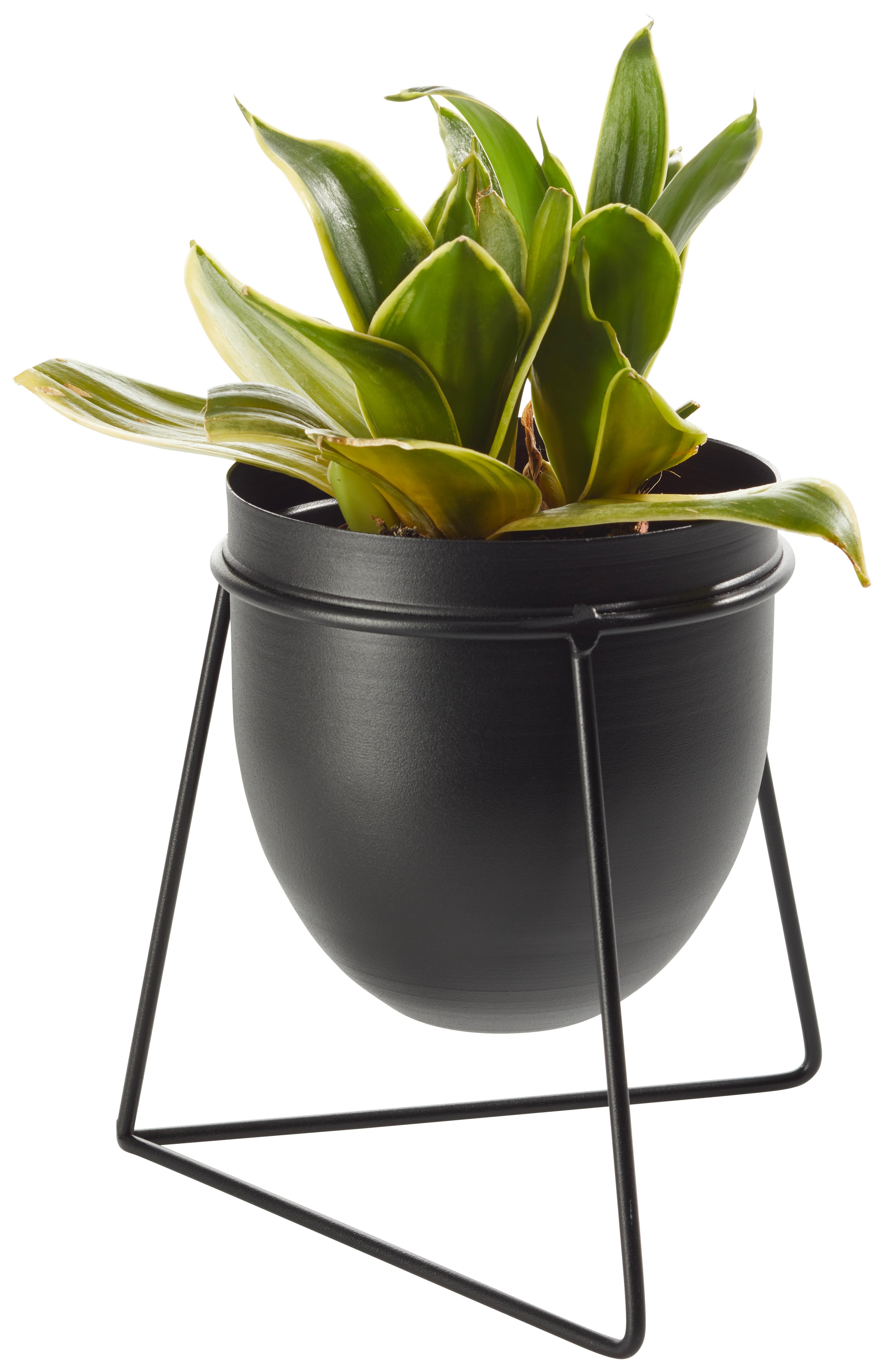 Obal Na Květináč Urbanus, V: 20cm - černá, Basics, kov (20/18cm) - Modern Living