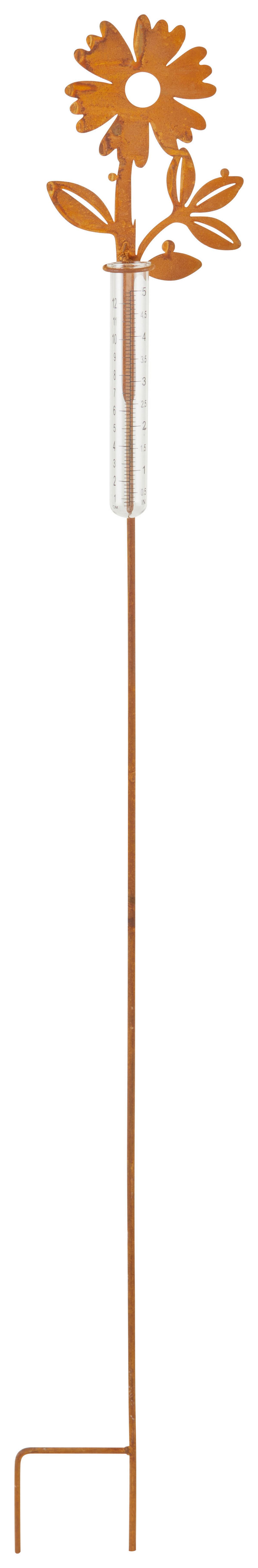 Esőmérő 9166181 Albert -Paz- - barna/átlátszó, Konventionell, Üveg/fém (11/5/116cm) - Luca Bessoni