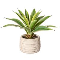 Kunstpflanze Sukkulenten Creme/Gelb/Grün, 25 cm - Gelb/Creme, Design, Keramik/Kunststoff (25cm) - P & B
