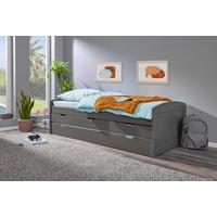 Výsuvná postel LENA sivá - šedá/přírodní barvy, Basics, dřevo/plast (90/200cm) - MID.YOU