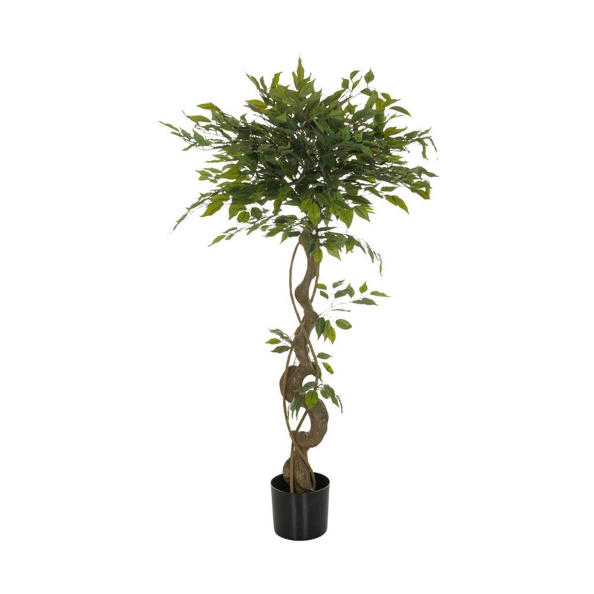 Kunstpflanze Ficus I - Schwarz/Braun, Basics, Kunststoff (70/120/70cm) - MID.YOU