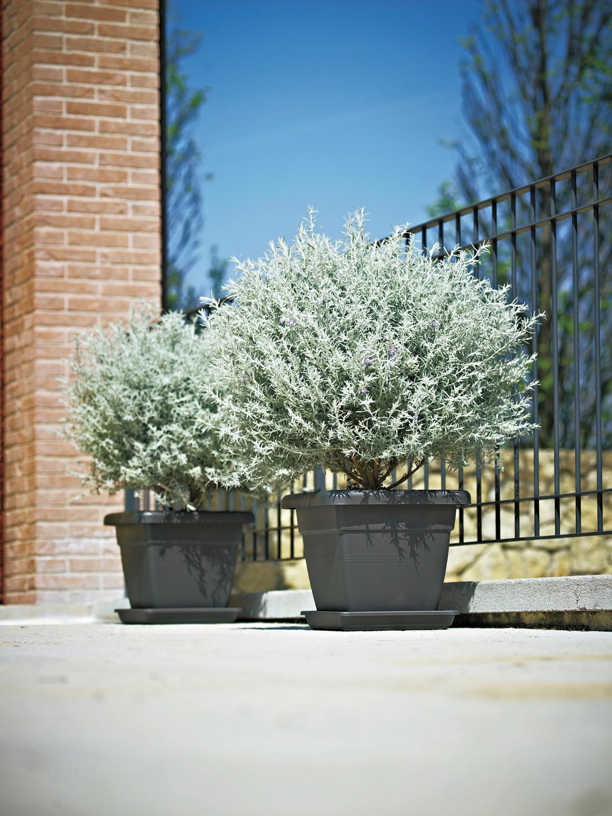 Pflanzentopf Anthrazit B: 46 Cm - Anthrazit, Basics, Kunststoff (46/40/46cm)