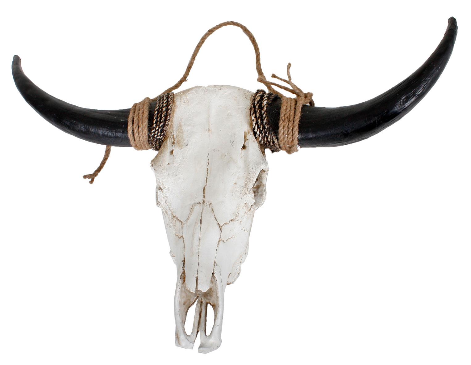 Geweih Braun Weiß B: 80 cm