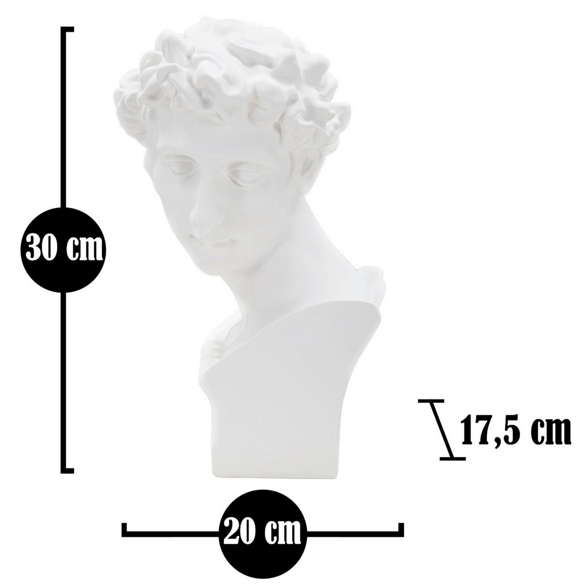 Skulptur Roman Young Weiß, B: 20 cm - Weiß, Basics, Kunststoff (20/30/17.5cm)