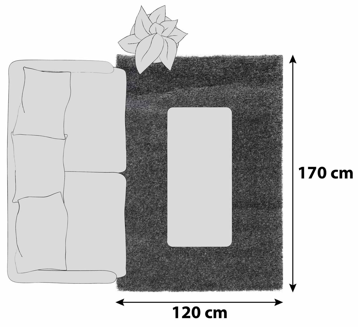 Hochflorteppich Fashion Shaggy Dunkelgrau 120x170 cm - Dunkelgrau, Basics, Textil (120/170cm) - Novel