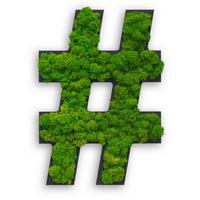 Moosbild Grün B: 25 cm - Schwarz/Grün, Basics, Naturmaterialien/Holz (25/17/4cm)