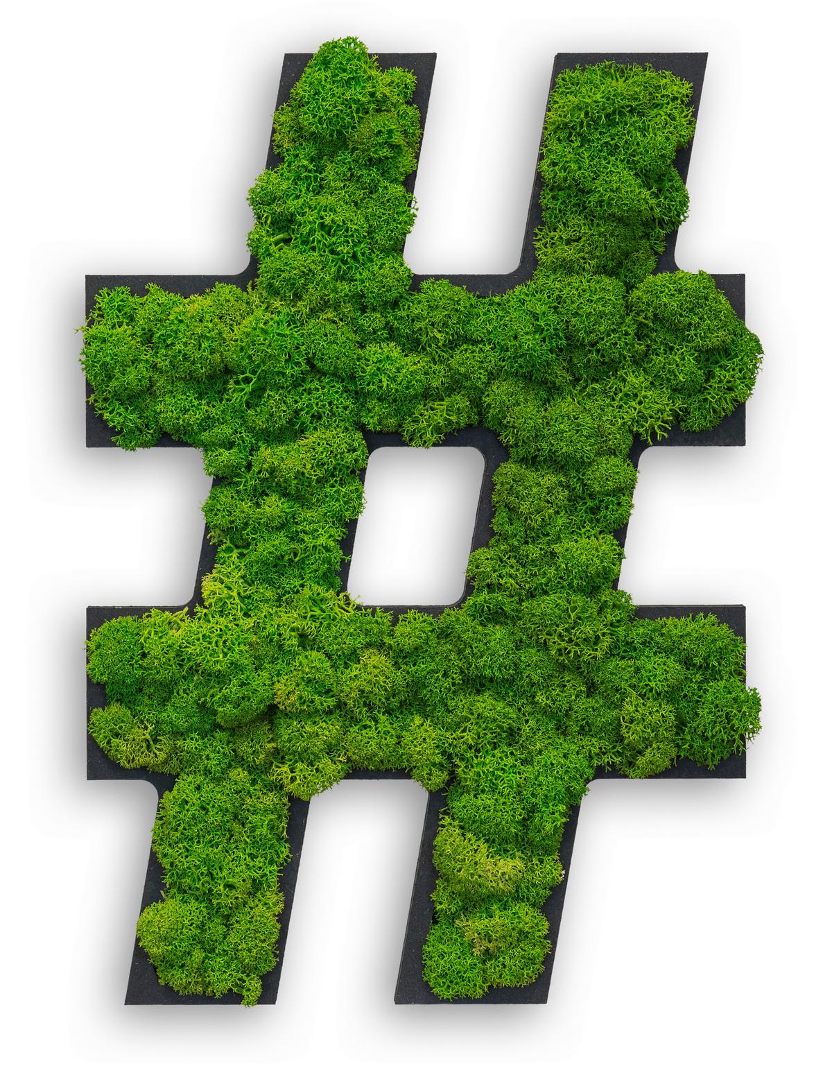 Moosbild Grün B: 25 cm - Schwarz/Grün, Basics, Naturmaterialien/Holz (25/17/4cm)