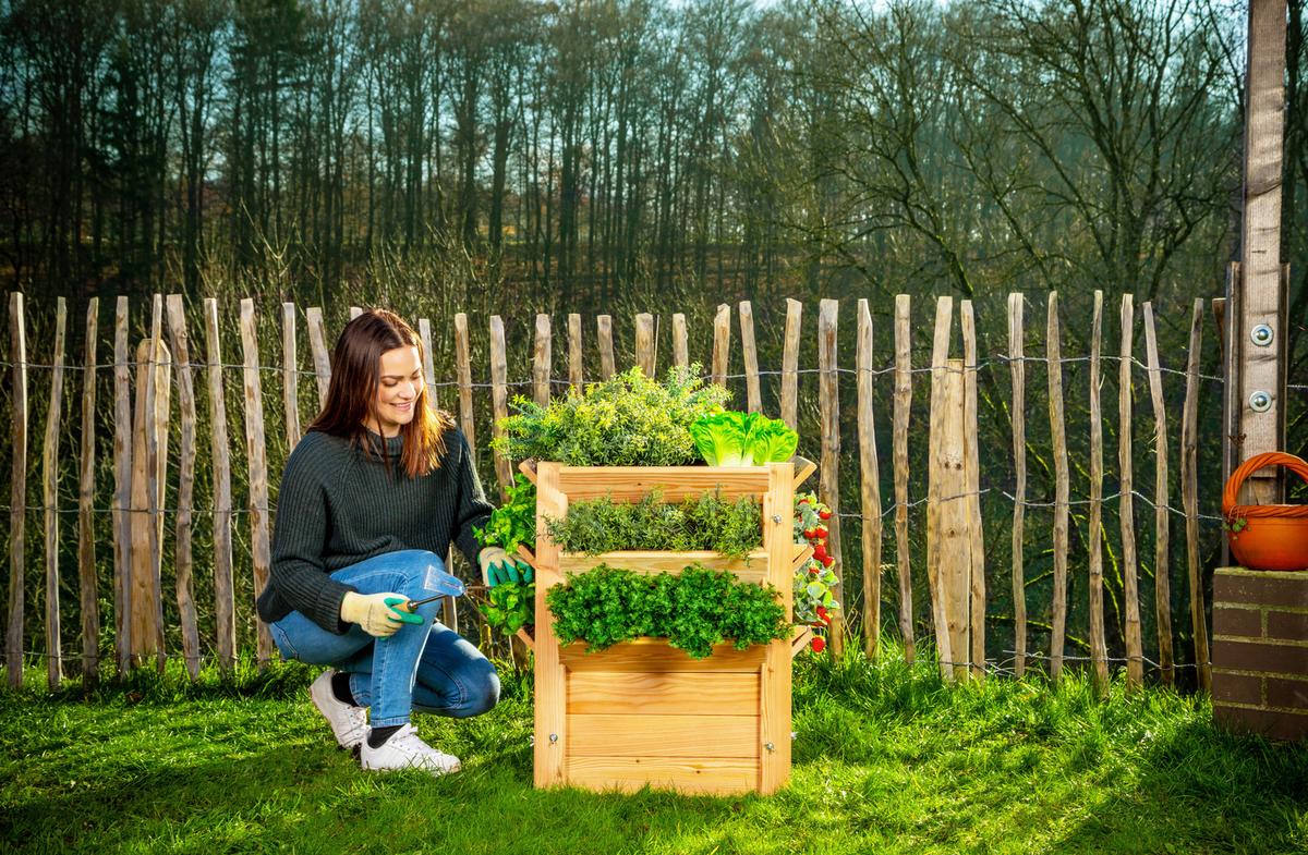 Hochbeet Echtholz Lärche 65x73x65 cm - Lärchefarben, Basics, Holz (65/73/65cm)