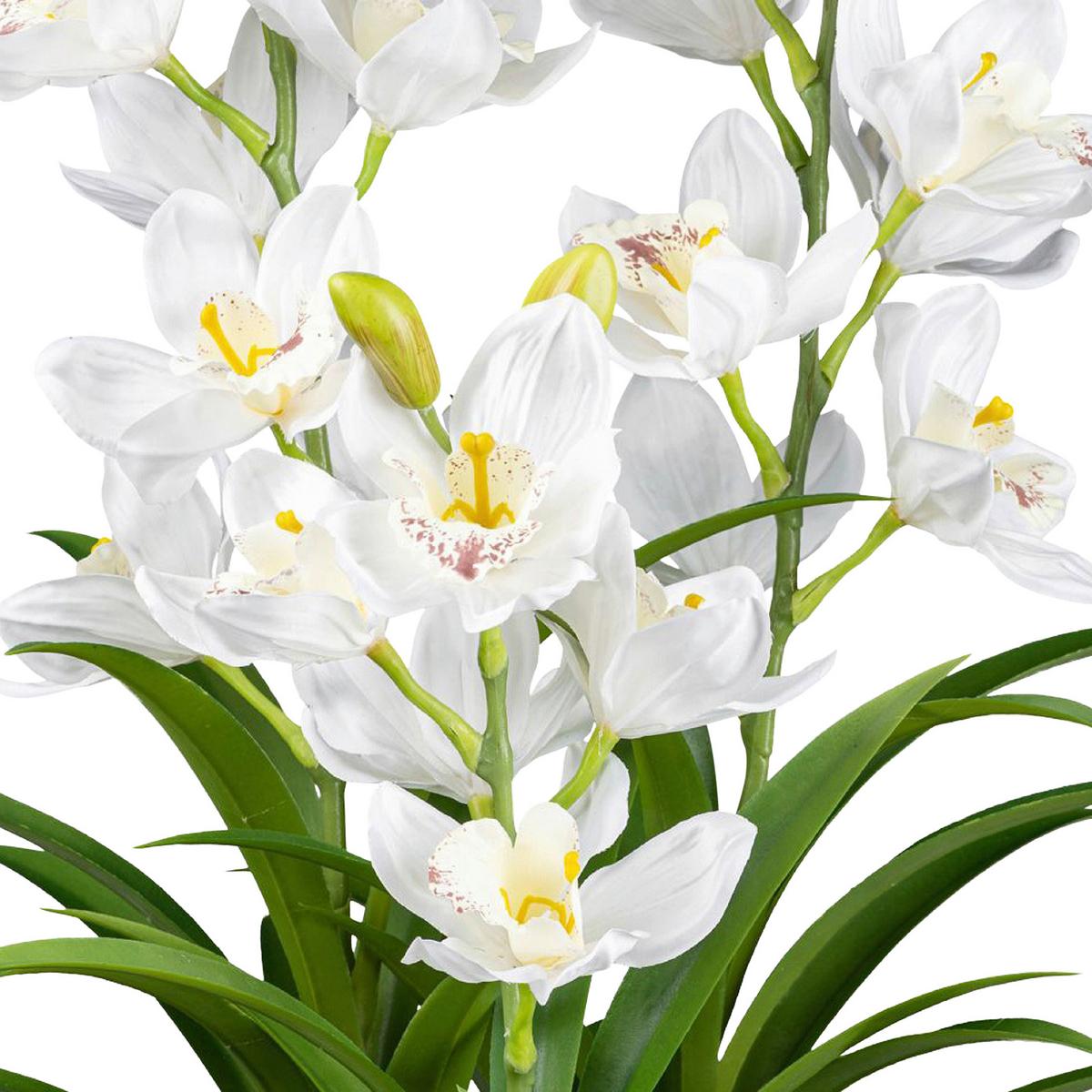 Kunstpflanze Orchideen Weiß, Topf: Grau, H: 70 Cm - Weiß/Grau, Design, Kunststoff (70cm) - P & B